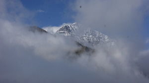 Photo of Patar Nachauni, Chamoli, Uttarakhand, India by Susan Halfhide