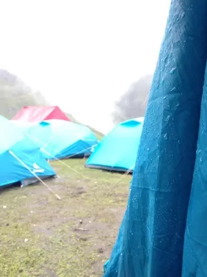 Photo of Patar Nachauni, Chamoli, Uttarakhand, India by Susan Halfhide
