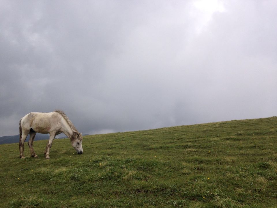 Photo of Roopkund - Revealed 39/54 by Susan Halfhide