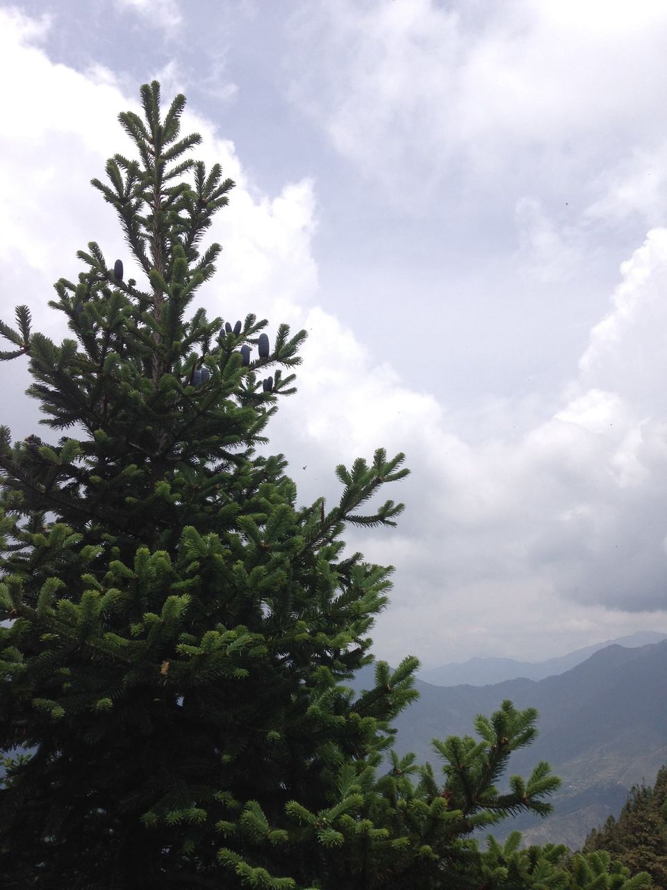Photo of Roopkund - Revealed 32/54 by Susan Halfhide