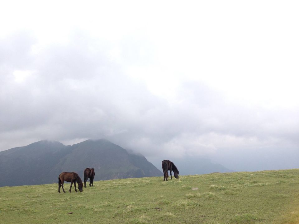 Photo of Roopkund - Revealed 31/54 by Susan Halfhide