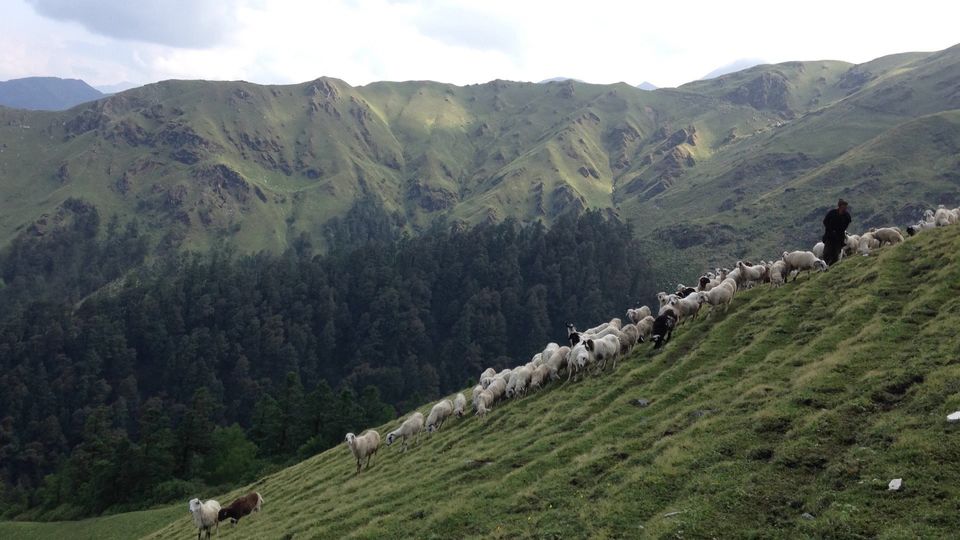 Photo of Roopkund - Revealed 26/54 by Susan Halfhide