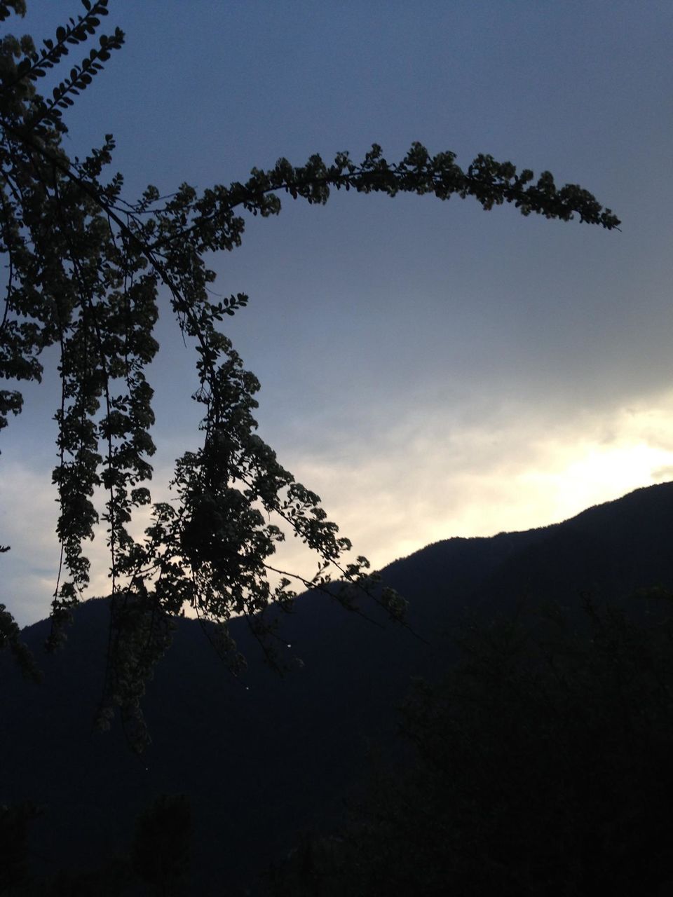 Photo of Roopkund - Revealed 36/54 by Susan Halfhide