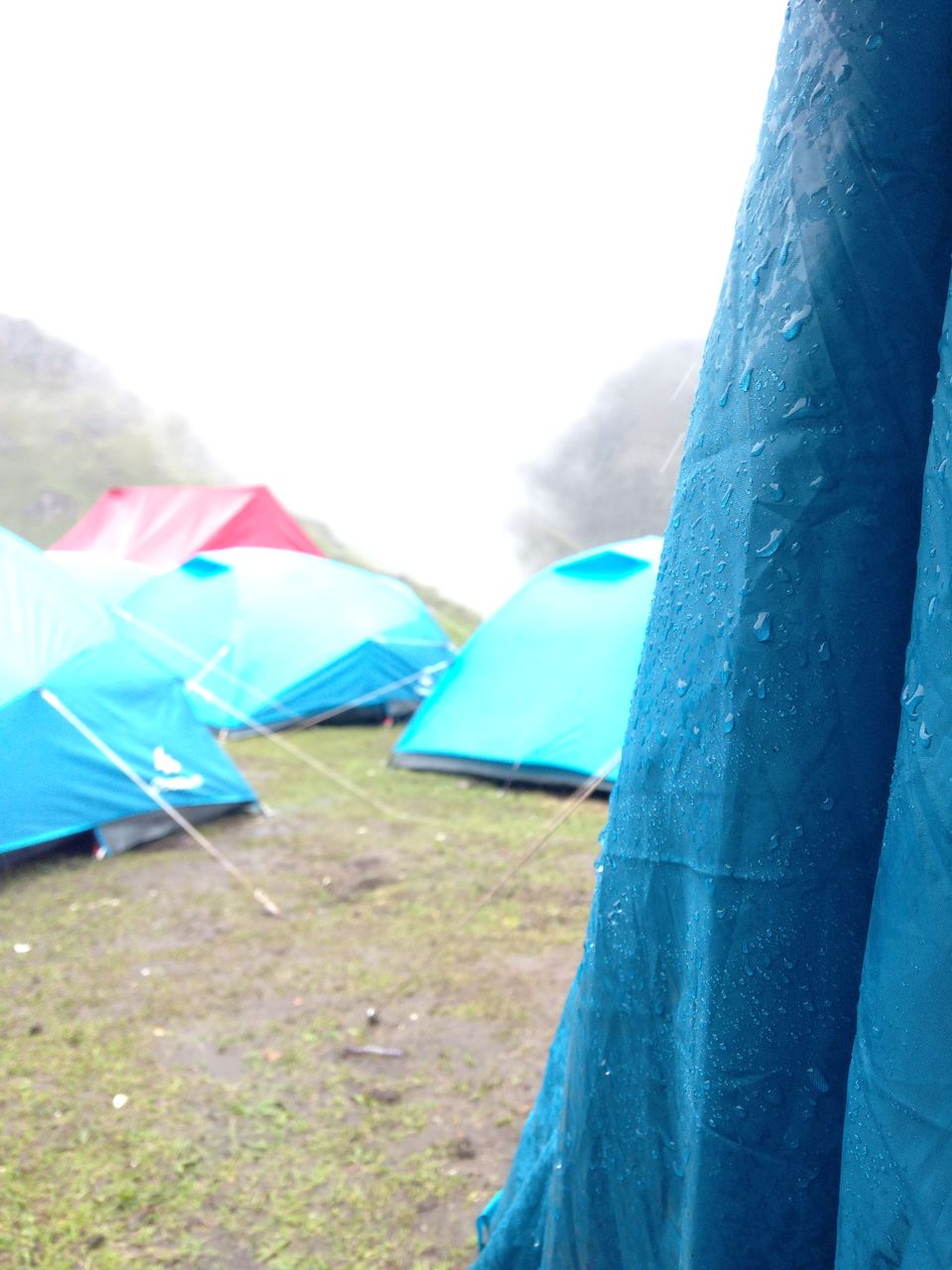Photo of Roopkund - Revealed 54/54 by Susan Halfhide