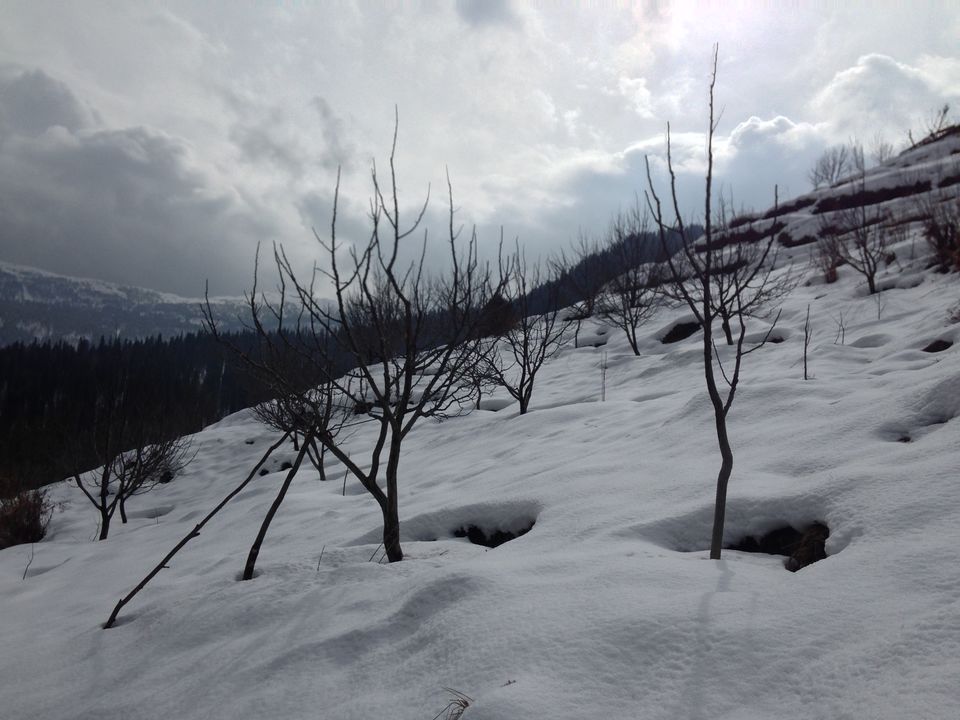 Photo of Of snow, and snow and more snow! - Kedarkantha Trek , Jan 2017 by Susan Halfhide