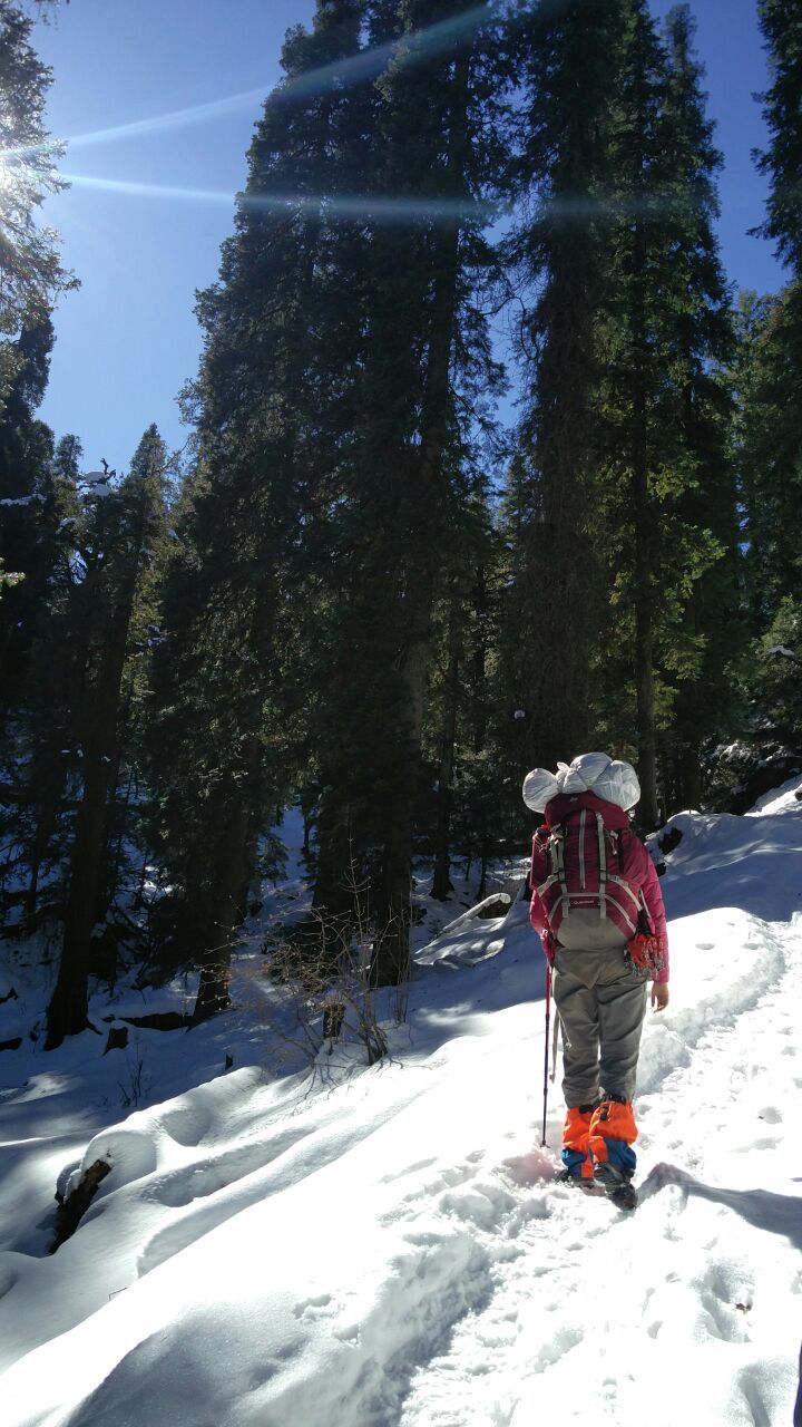 Photo of Kedarkantha, Singtur Range, Uttarakhand, India by Susan Halfhide