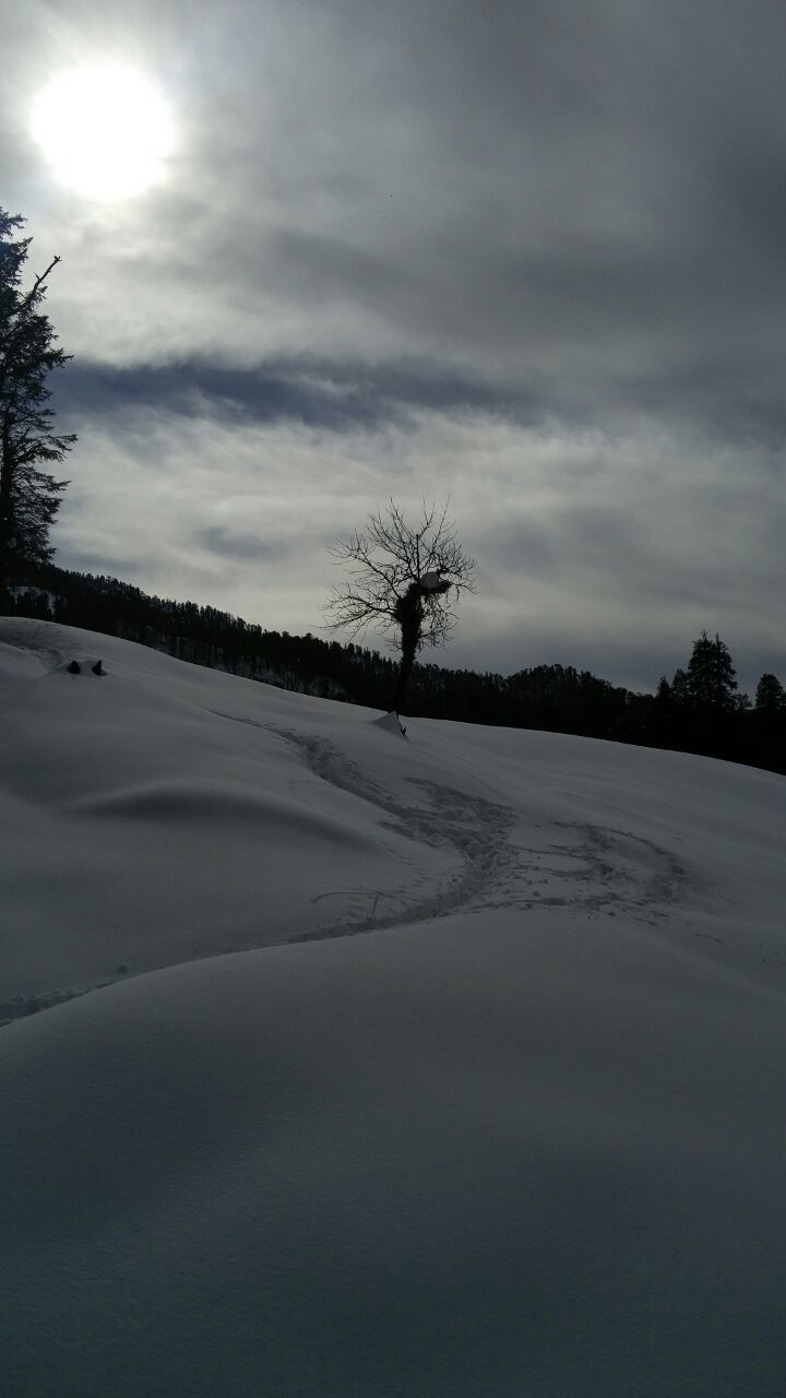 Photo of Kedarkantha, Singtur Range, Uttarakhand, India by Susan Halfhide