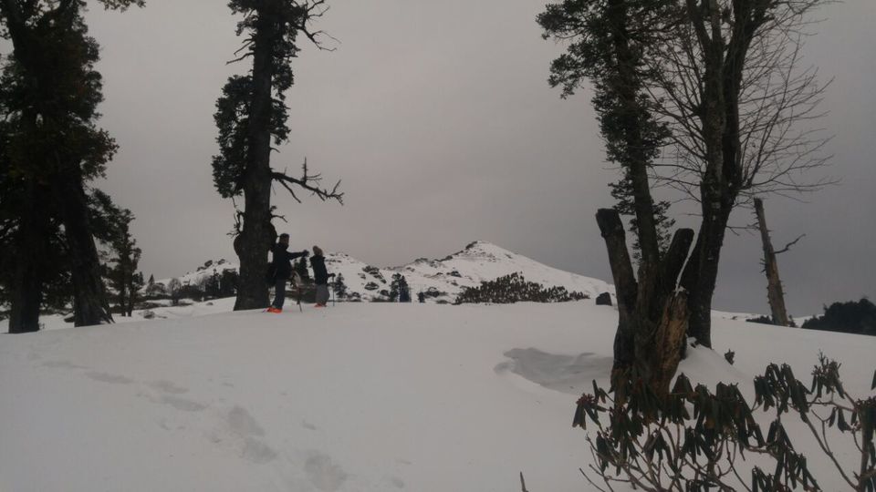 Photo of Kedarkantha, Singtur Range, Uttarakhand, India by Susan Halfhide