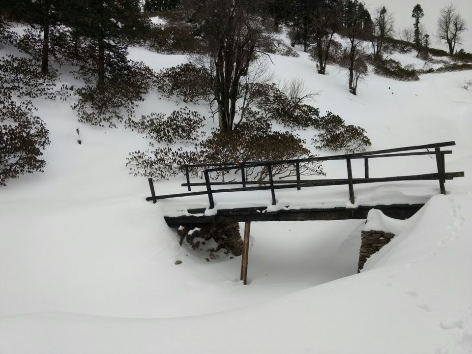 Photo of Of snow, and snow and more snow! - Kedarkantha Trek , Jan 2017 by Susan Halfhide