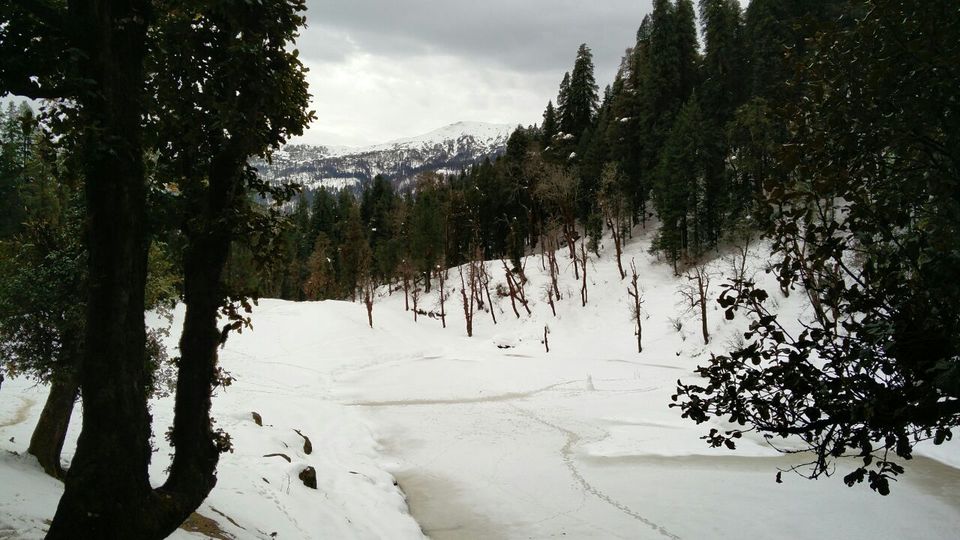Photo of Of snow, and snow and more snow! - Kedarkantha Trek , Jan 2017 by Susan Halfhide