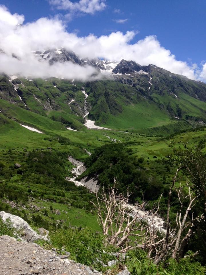 Photo of Valley of Flowers National Park, Chamoli, Uttarakhand, India by Susan Halfhide