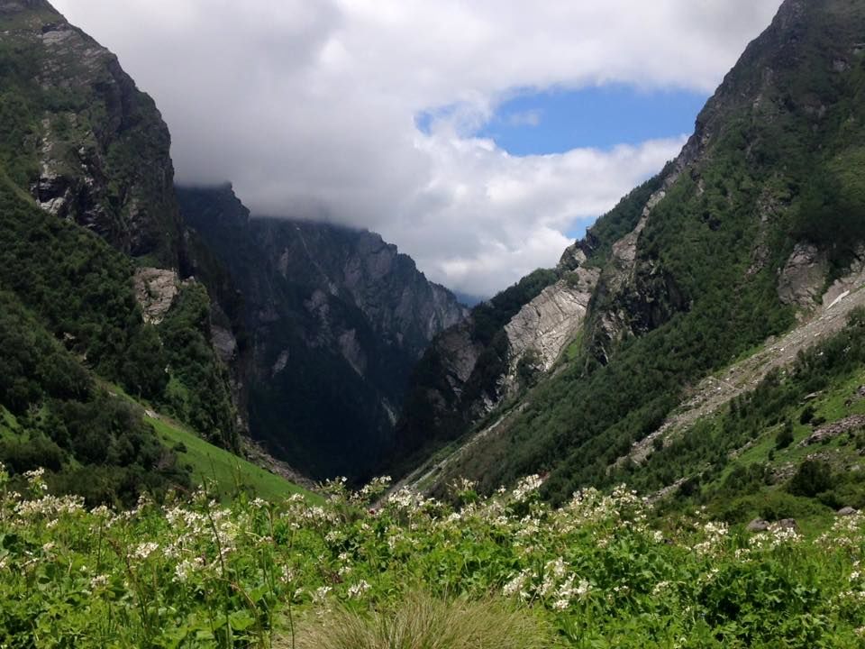 Photo of Valley of Flowers 2015 : A perfect beginner's trek by Susan Halfhide