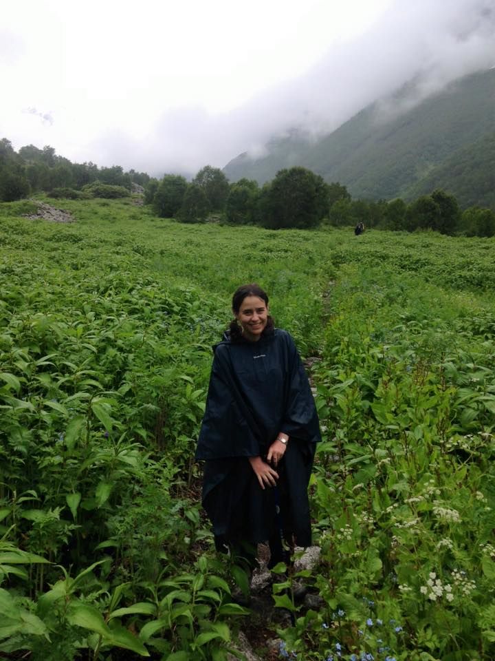 Photo of Valley of Flowers National Park, Chamoli, Uttarakhand, India by Susan Halfhide