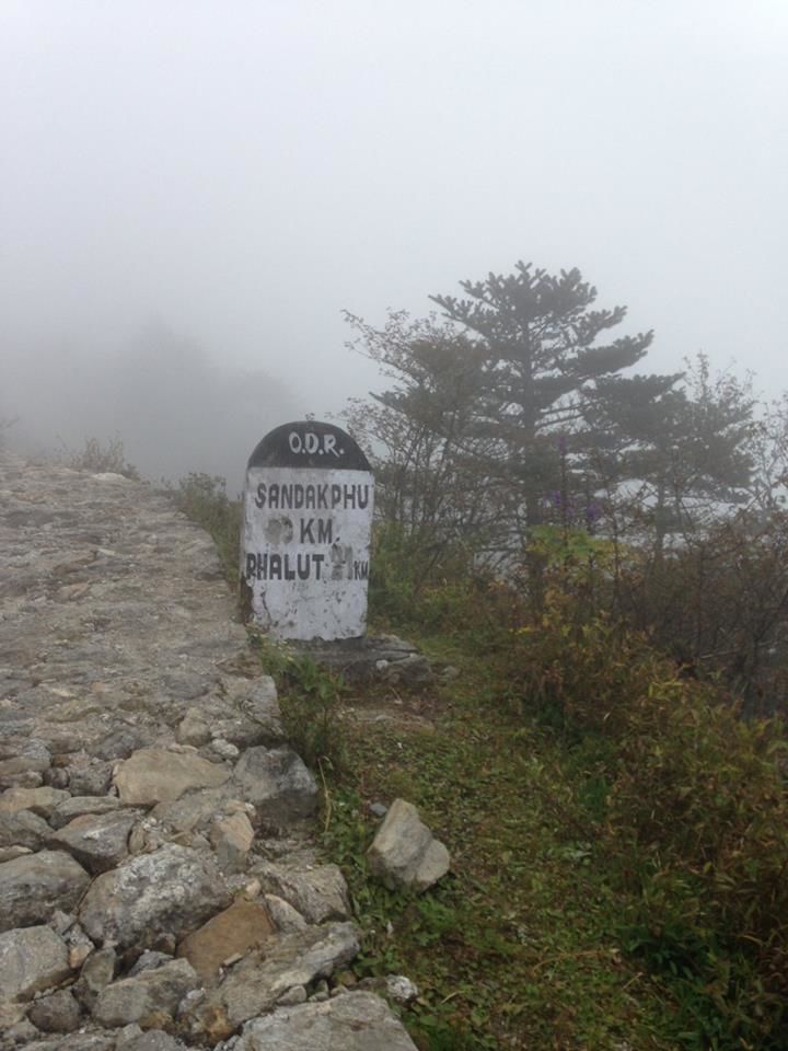 Photo of Sandakphu - Of misty roads and grand vistas, and a sweet surprise! by Susan Halfhide