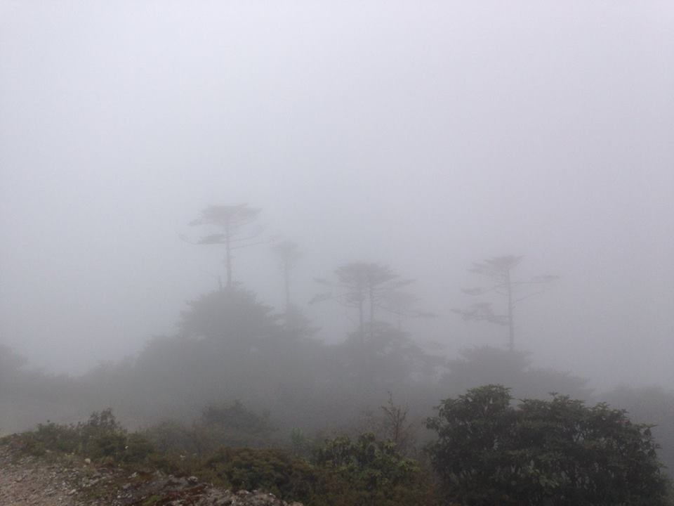 Photo of Tumling, Nepal by Susan Halfhide