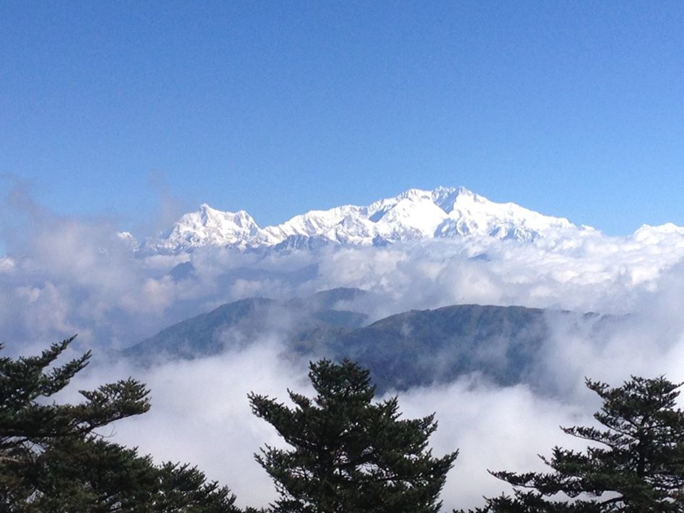 Photo of Sandakphu - Of misty roads and grand vistas, and a sweet surprise! 1/2 by Susan Halfhide