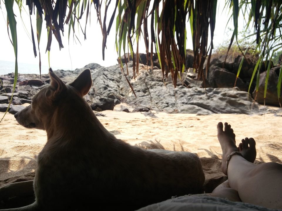 Photo of Go chill, Gokarna by Susan Halfhide