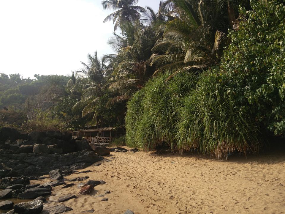 Photo of Go chill, Gokarna by Susan Halfhide