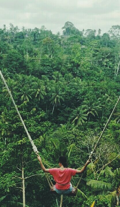 Photo of Bali Swing, Bongkasa Pertiwi, Badung Regency, Bali, Indonesia by Susan Halfhide