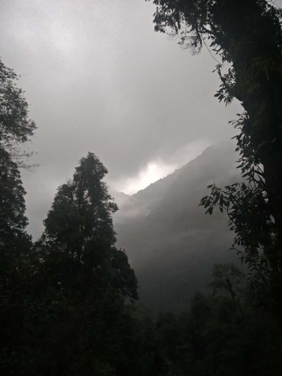 Photo of Goechala Trek 2018 - my personal journey to bliss. by Susan Halfhide