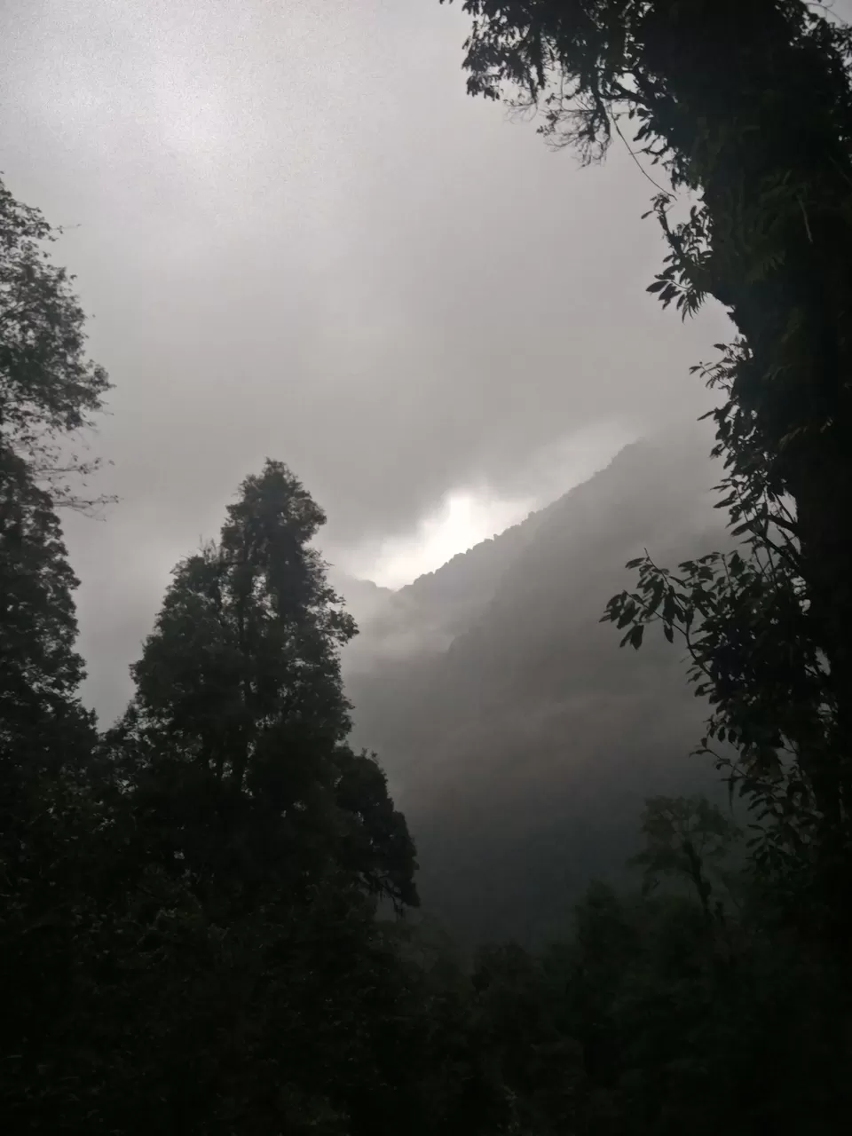 Photo of Goechala Trek 2018 - my personal journey to bliss. by Susan Halfhide