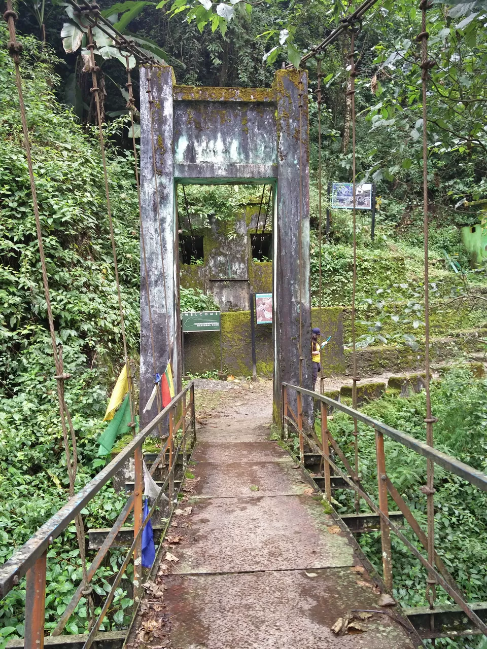 Photo of Goechala Trek 2018 - my personal journey to bliss. by Susan Halfhide
