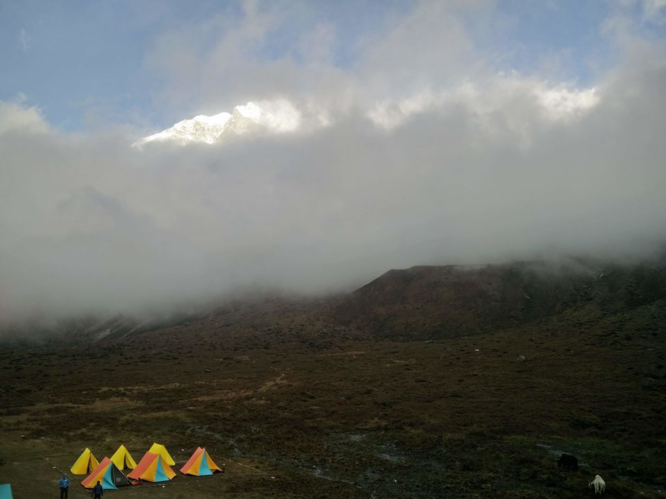 Photo of Goechala Trek 2018 - my personal journey to bliss. by Susan Halfhide