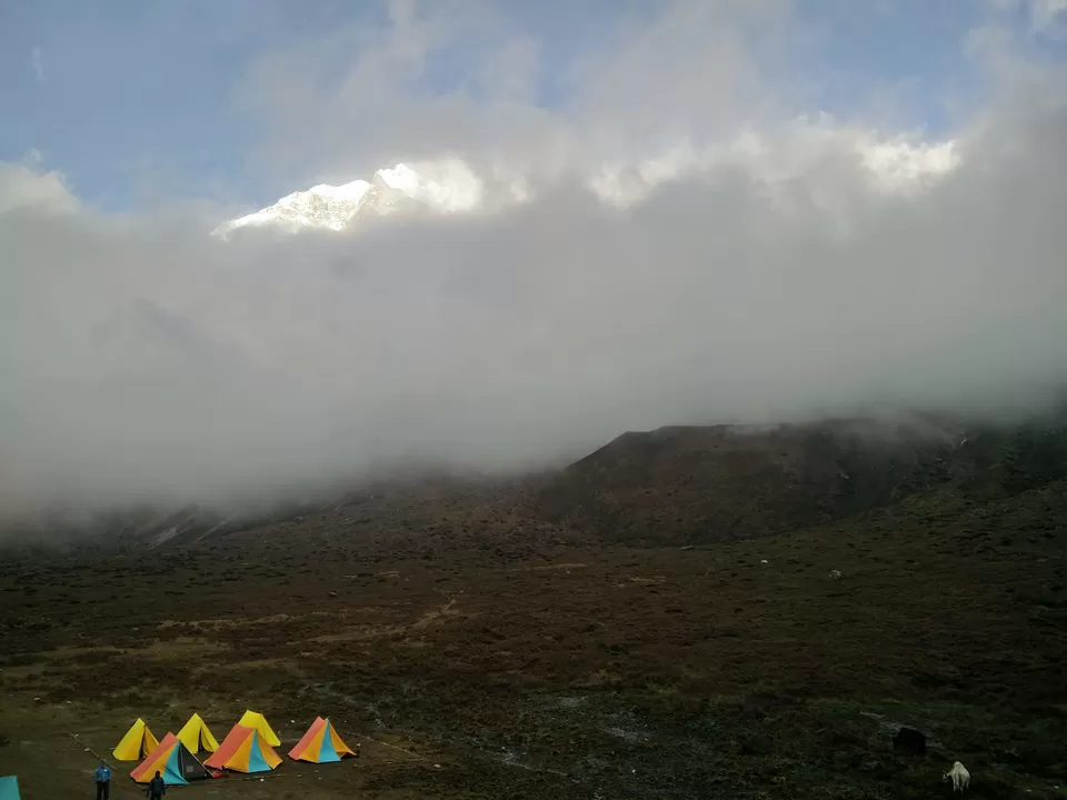 Photo of Goechala Trek 2018 - my personal journey to bliss. by Susan Halfhide