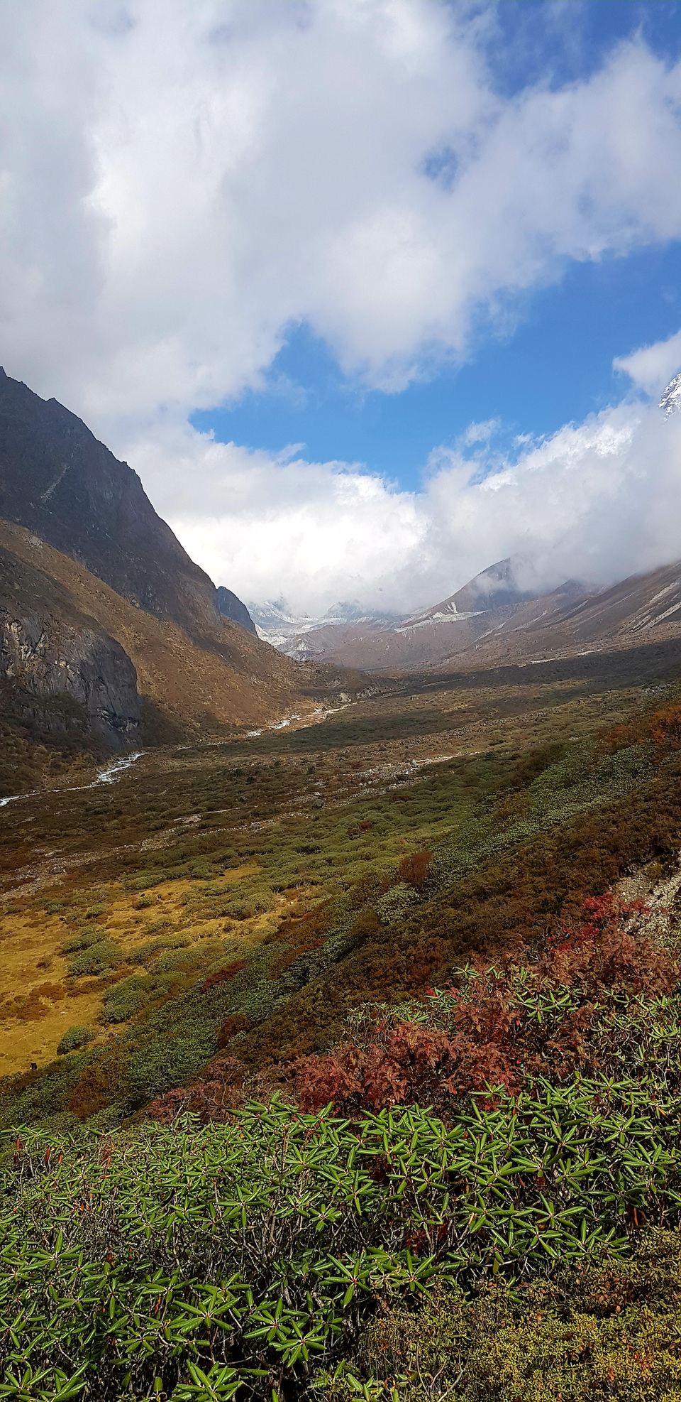 Photo of Lamuney Campsite, Goecha La Trek, Sikkim, India by Susan Halfhide