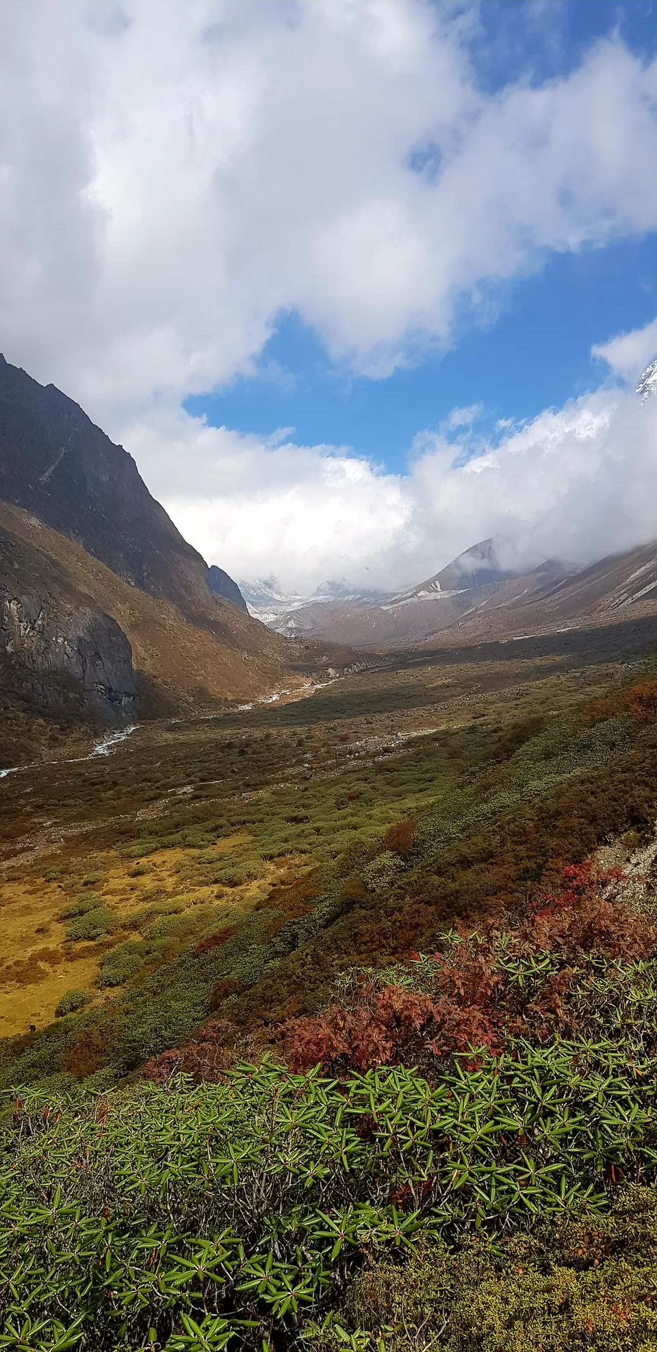 Photo of Lamuney Campsite, Goecha La Trek, Sikkim, India by Susan Halfhide
