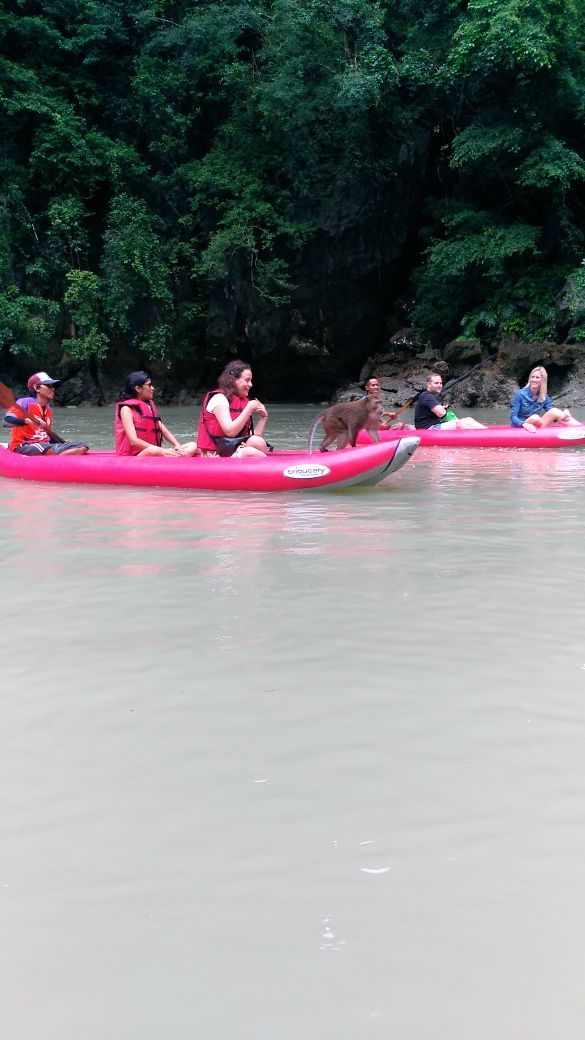 Photo of Phang Nga - a hidden gem of Phuket 7/9 by Susan Halfhide