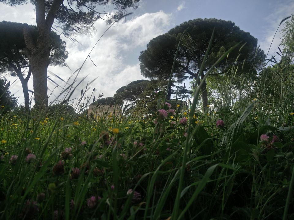 Photo of Buongiorno, Italy! by Susan Halfhide