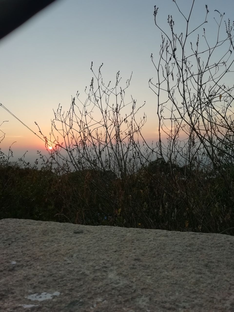 Photo of A Weekend Getaway to Mysore 5/8 by Kavitha Varier