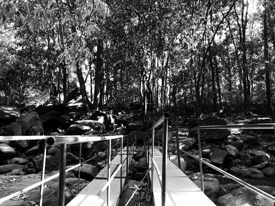 Photo of Dudhsagar Falls, Sonaulim, Goa, India by Harsha