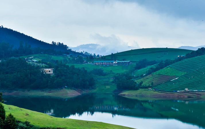 Photo of The Pet-Friendly 'Destiny Farmstay Ooty' is Straight Out Of The Lord of The Rings by Ishvani Hans