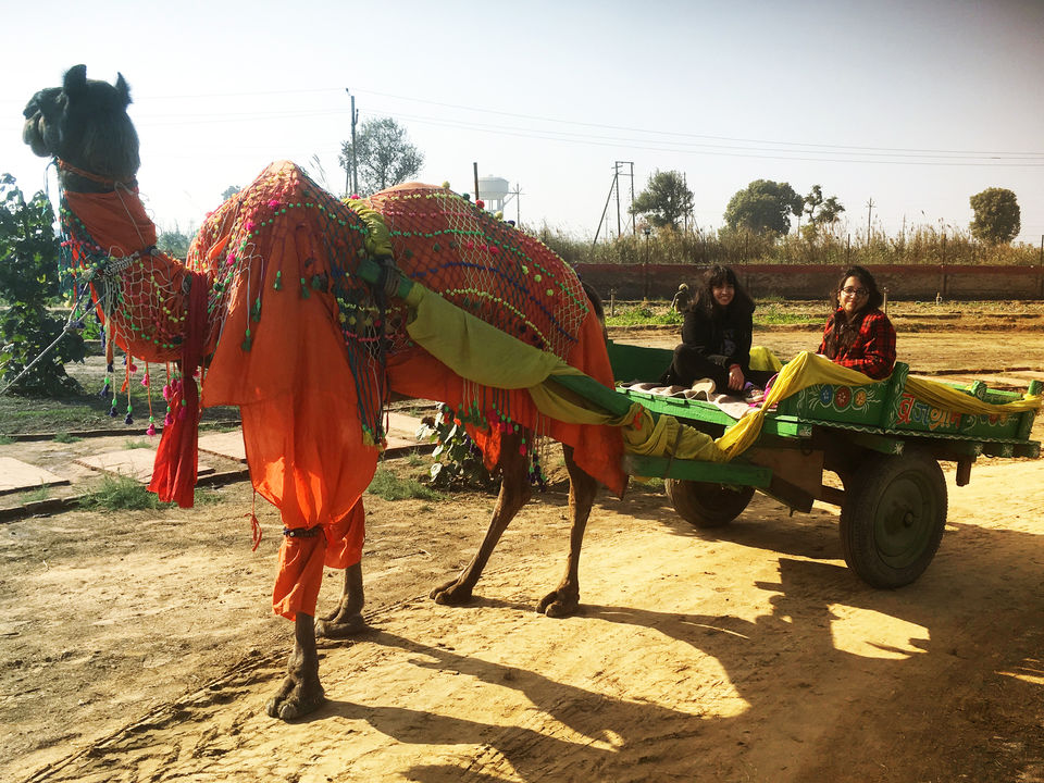 Photo of Celebrate 'Braj Ki Holi' In This Village Themed Getaway, Just 100km From Delhi by Ishvani Hans