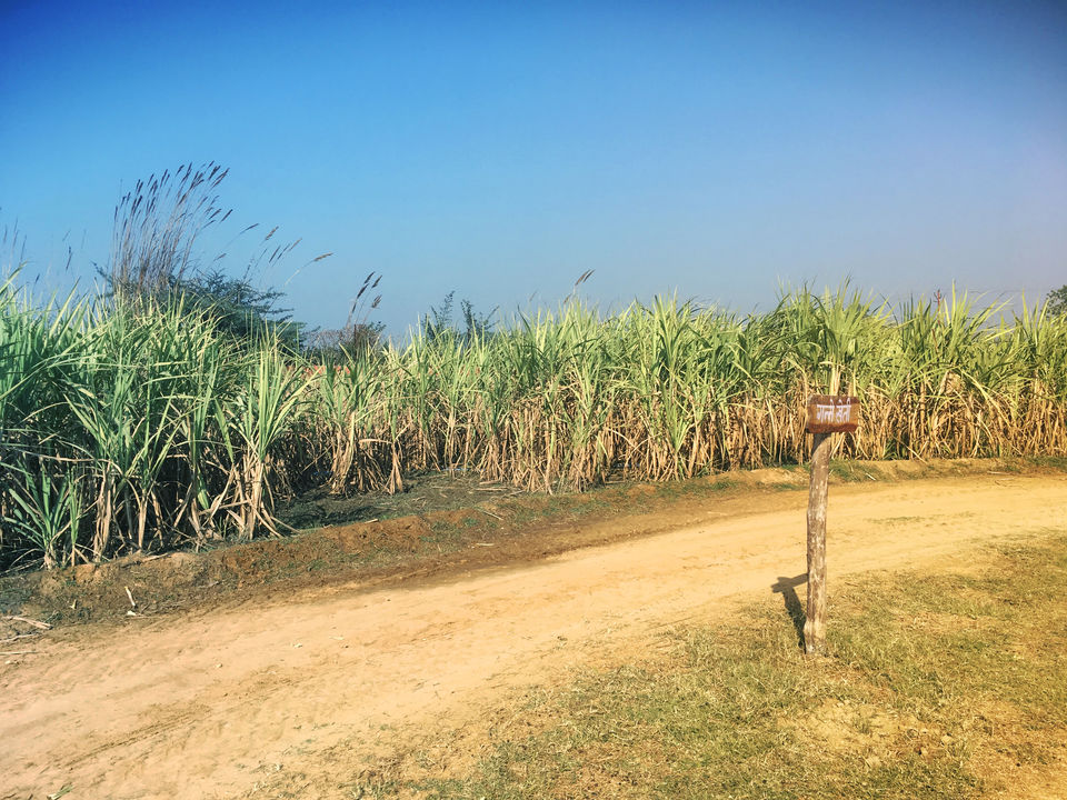 Photo of Celebrate 'Braj Ki Holi' In This Village Themed Getaway, Just 100km From Delhi by Ishvani Hans