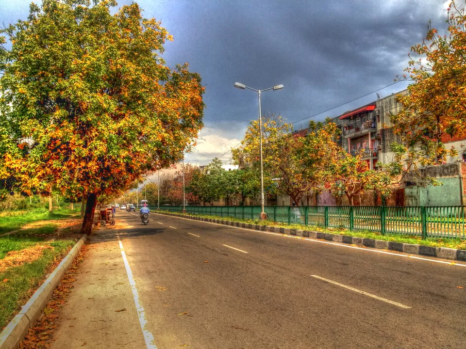 Photo of 7 Reasons Why Chandigarh City Is My Favourite Place In India by Ishvani Hans