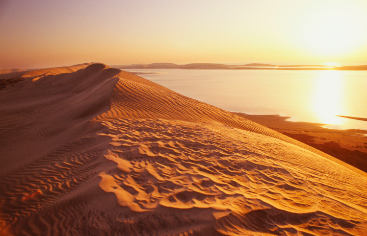 Photo of 9 Reasons Why Qatar Tourism Is Making Travellers Across The World Drool! by Ishvani Hans