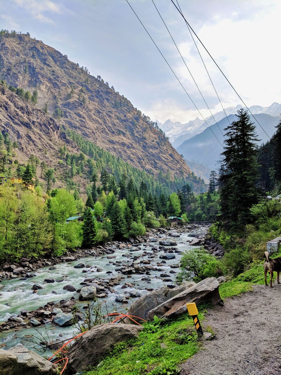 Photo of I Boarded The Wrong Bus And It Turned Out To Be The Funnest Trip Of My Life 1/2 by Ishvani Hans