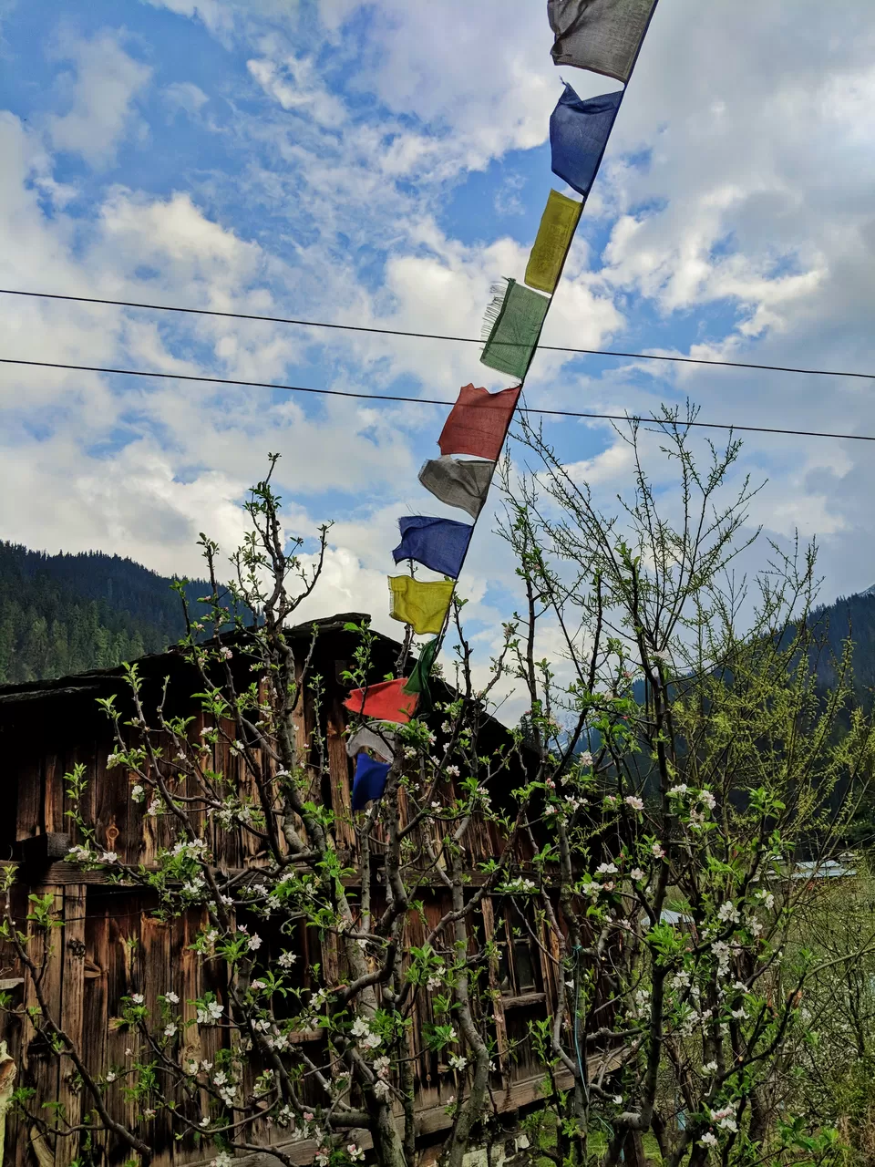 Photo of Kalgha, Sosan, Himachal Pradesh, India by Ishvani Hans
