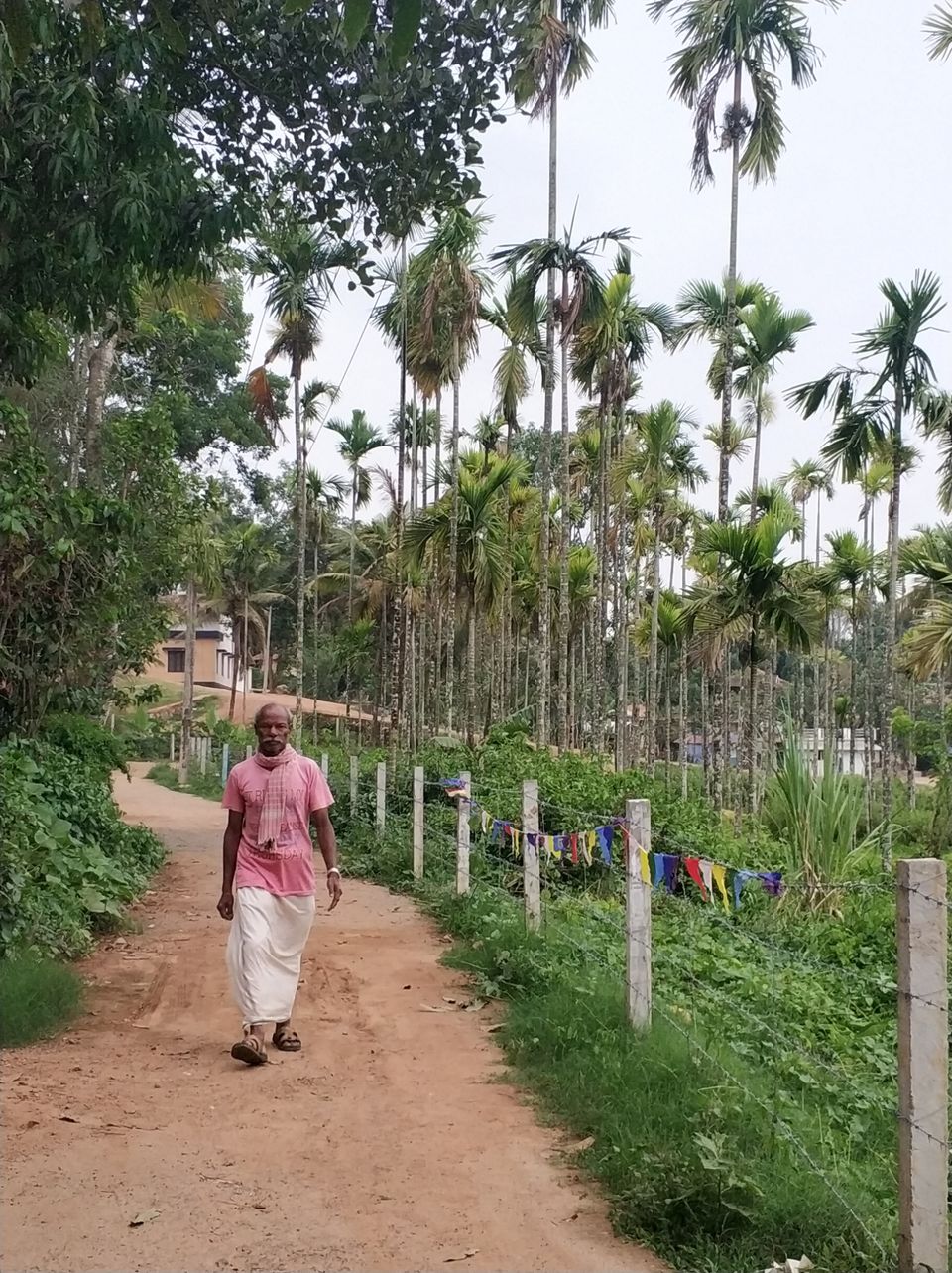 Photo of Mananthavady, Kerala, India by Tanjul Sarkar