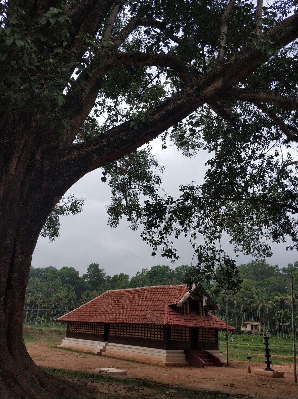 Photo of Mananthavady, Kerala, India by Tanjul Sarkar