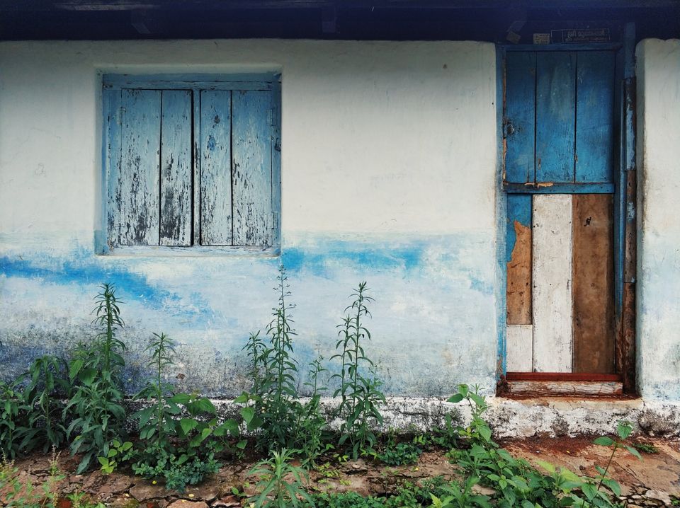Photo of Meppadi, Kerala, India by Tanjul Sarkar