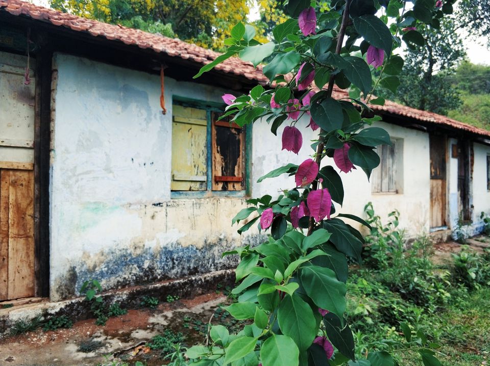 Photo of Meppadi, Kerala, India by Tanjul Sarkar