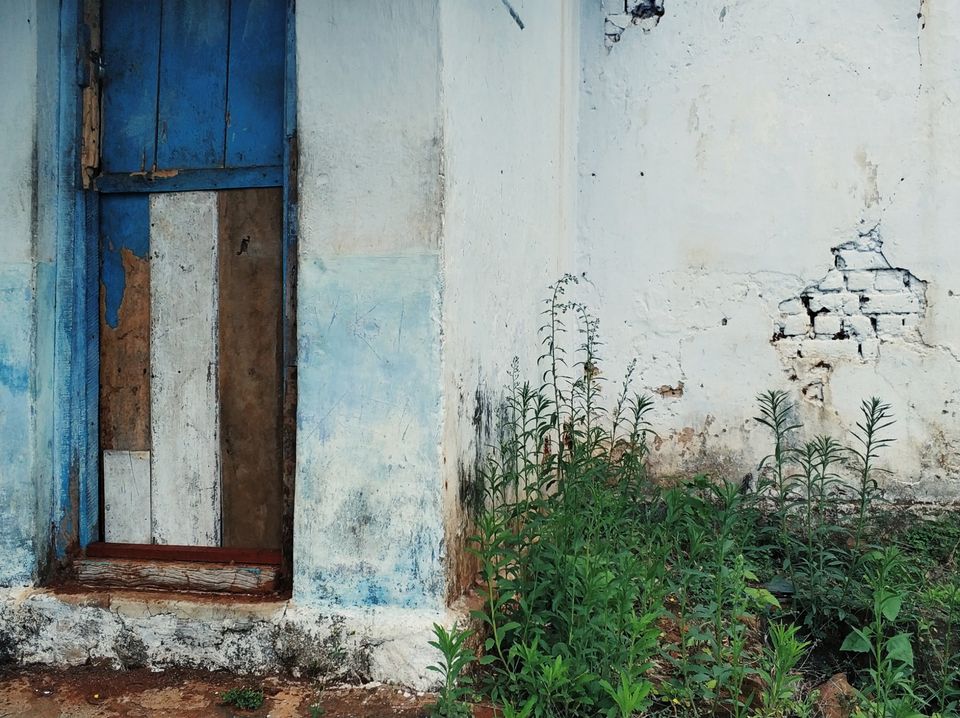 Photo of Meppadi, Kerala, India by Tanjul Sarkar