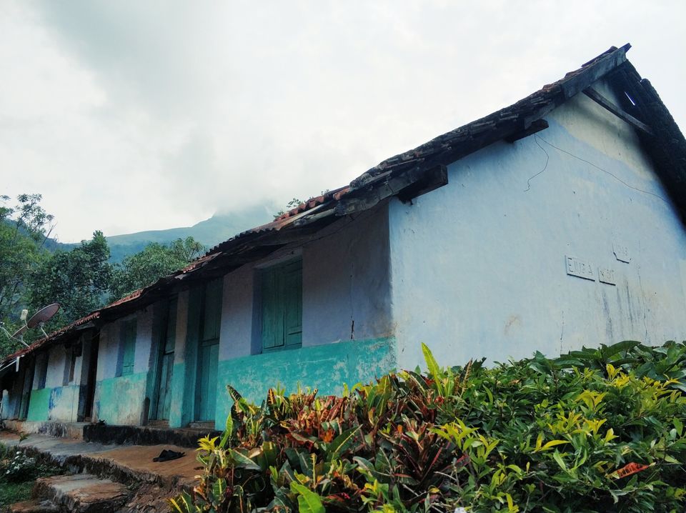 Photo of Meppadi, Kerala, India by Tanjul Sarkar