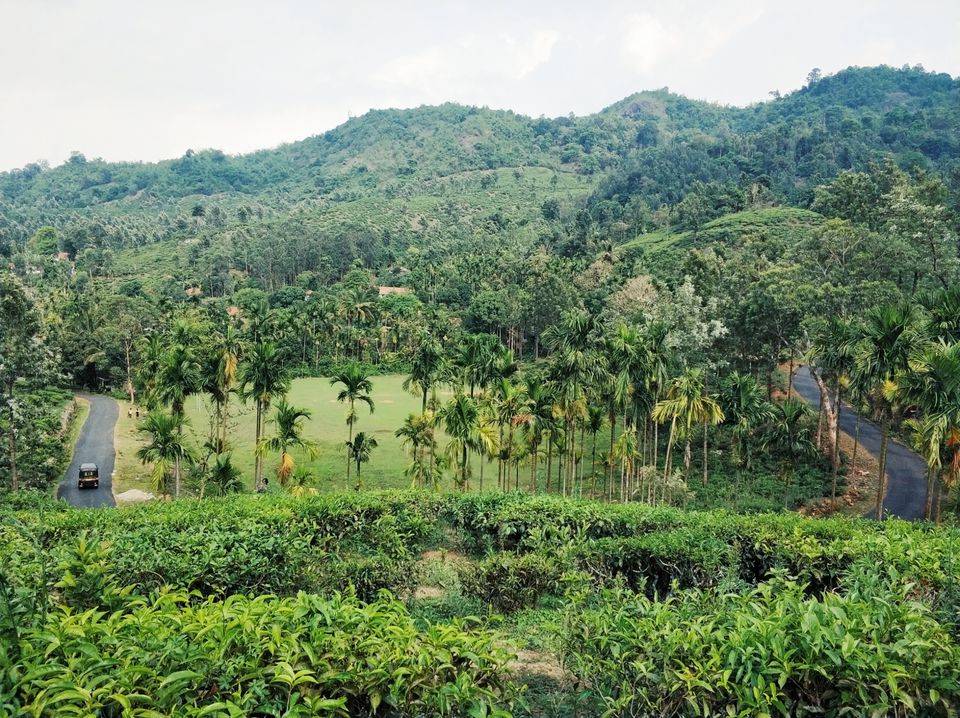 Photo of Meppadi, Kerala, India by Tanjul Sarkar