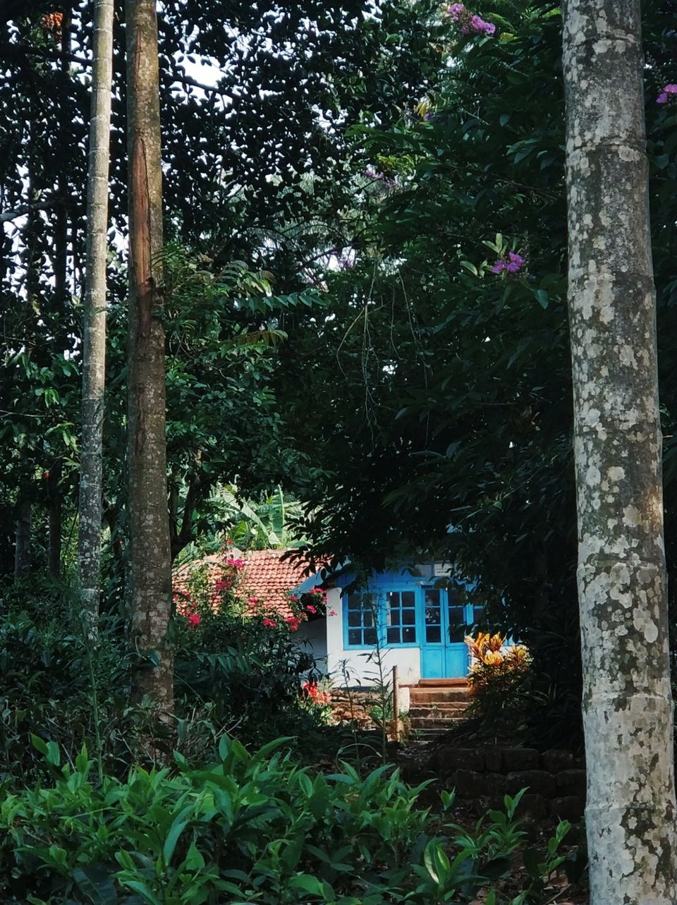 Photo of Meppadi, Kerala, India by Tanjul Sarkar