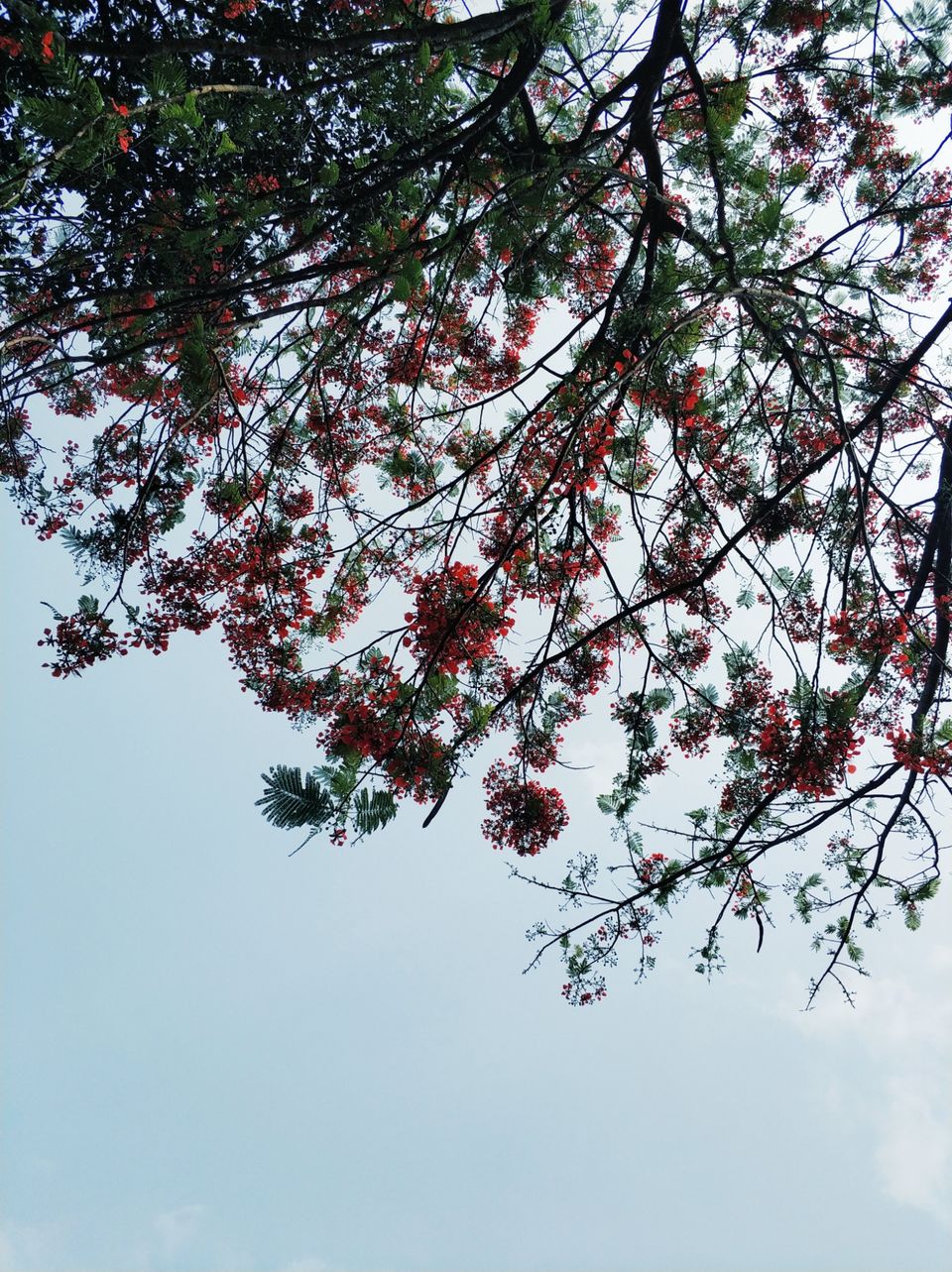 Photo of Meppadi, Kerala, India by Tanjul Sarkar
